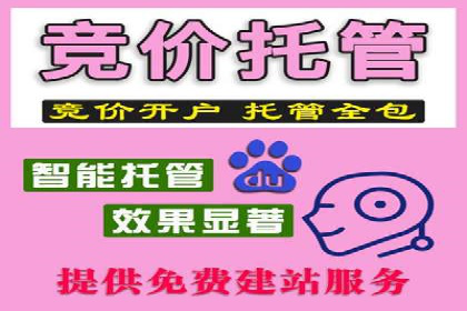 百度推广代运营成功案例解析