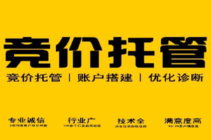 搜索引擎优化（SEM）在旅游行业的应用案例